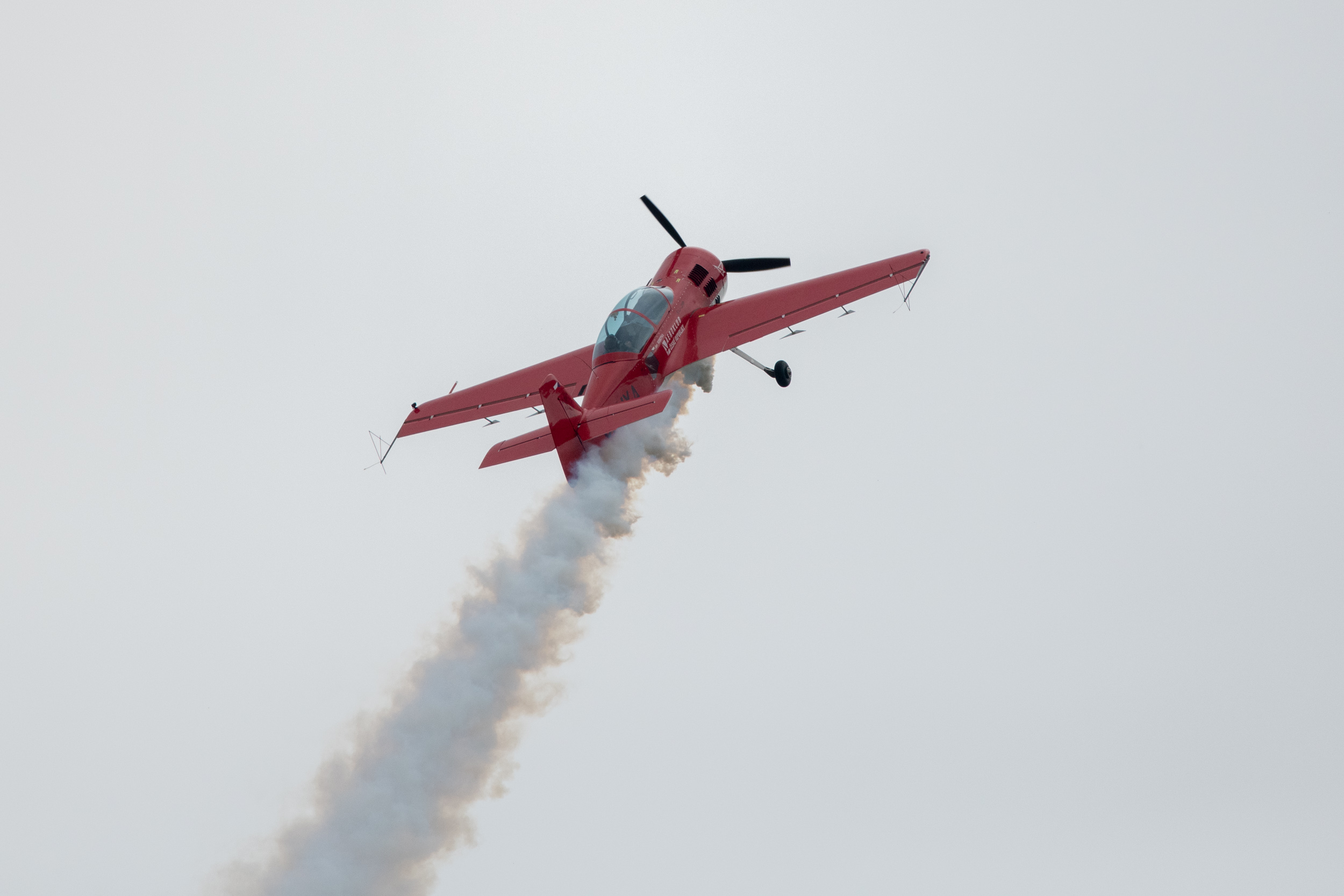 DSC 8774